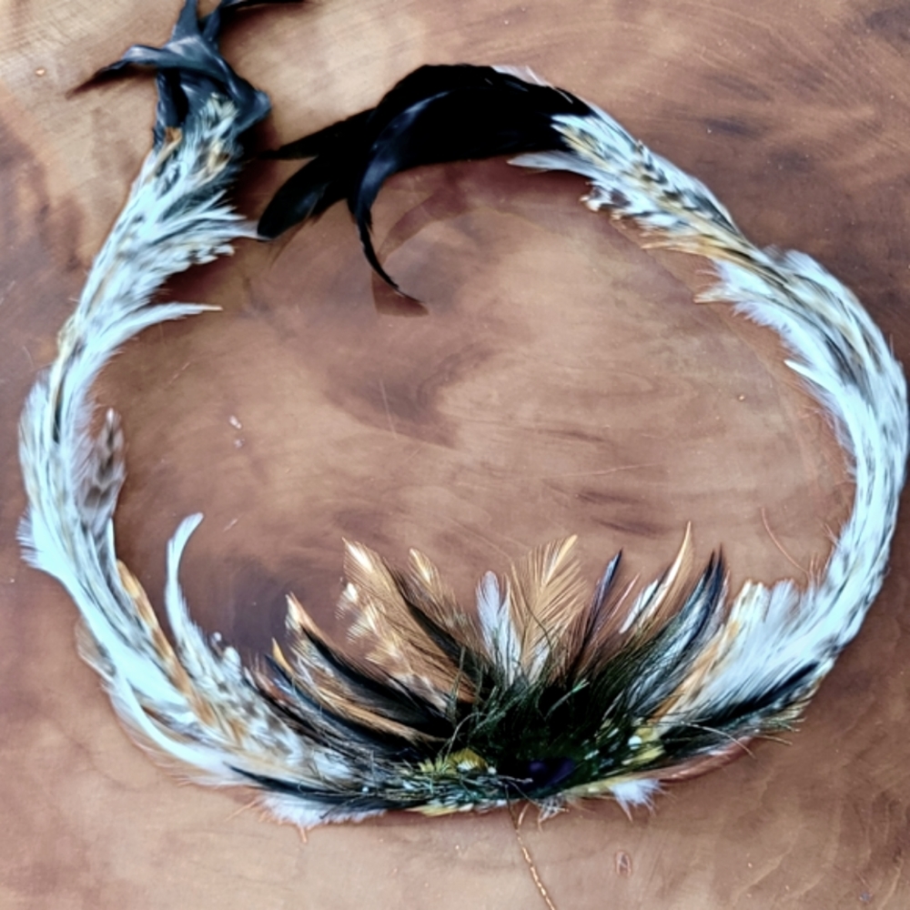 Stunning natural feather trim